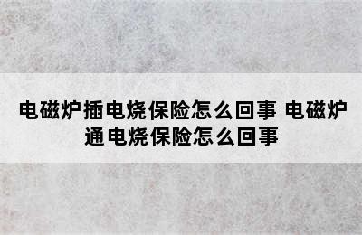 电磁炉插电烧保险怎么回事 电磁炉通电烧保险怎么回事